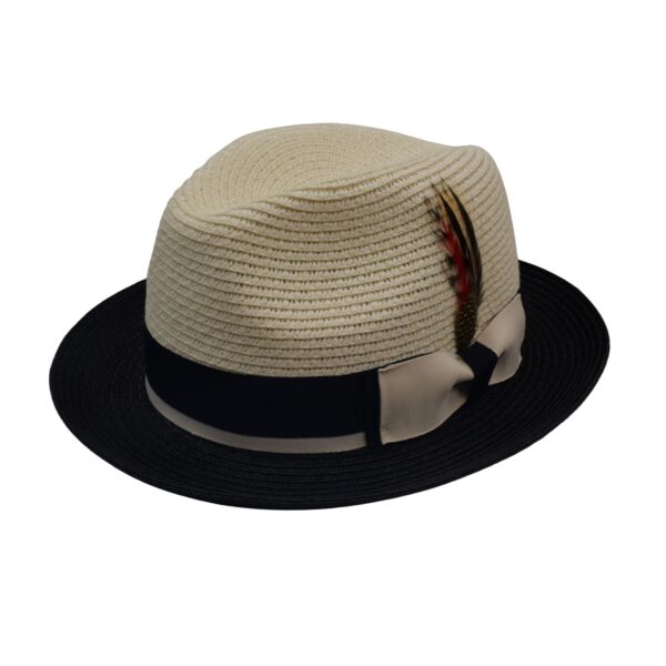 Straw Paper Foldable C-Crown Trilby HAT Unisex Summar Brim  with Feather Straw Beach Sun Hat Summer Travel Wide Brim ,Adjust Rope inisde Outdoor , Summer Travels