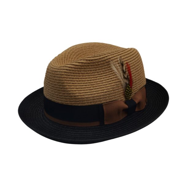 Unisex Summar Brim Straw Paper Foldable C-Crown Trilby HAT with Feather Straw Beach Sun Hat Summer Travel Wide Brim ,Adjust Rope inisde Outdoor , Summer Travels