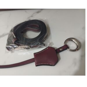 Wine Color Shoulder bag, autumn and winter fashion women  Bag 2 pic in pack - Image 8